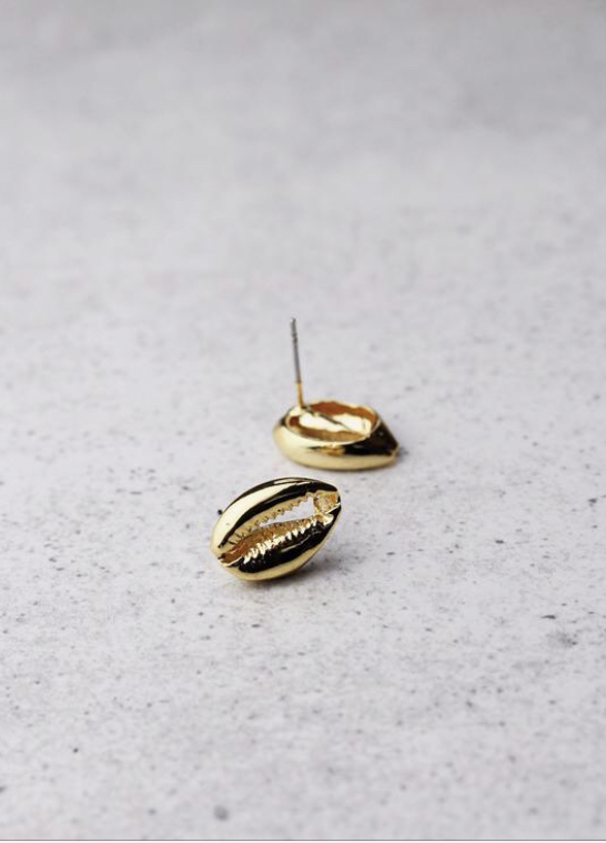 Gold Cowrie Shell Stud Earrings